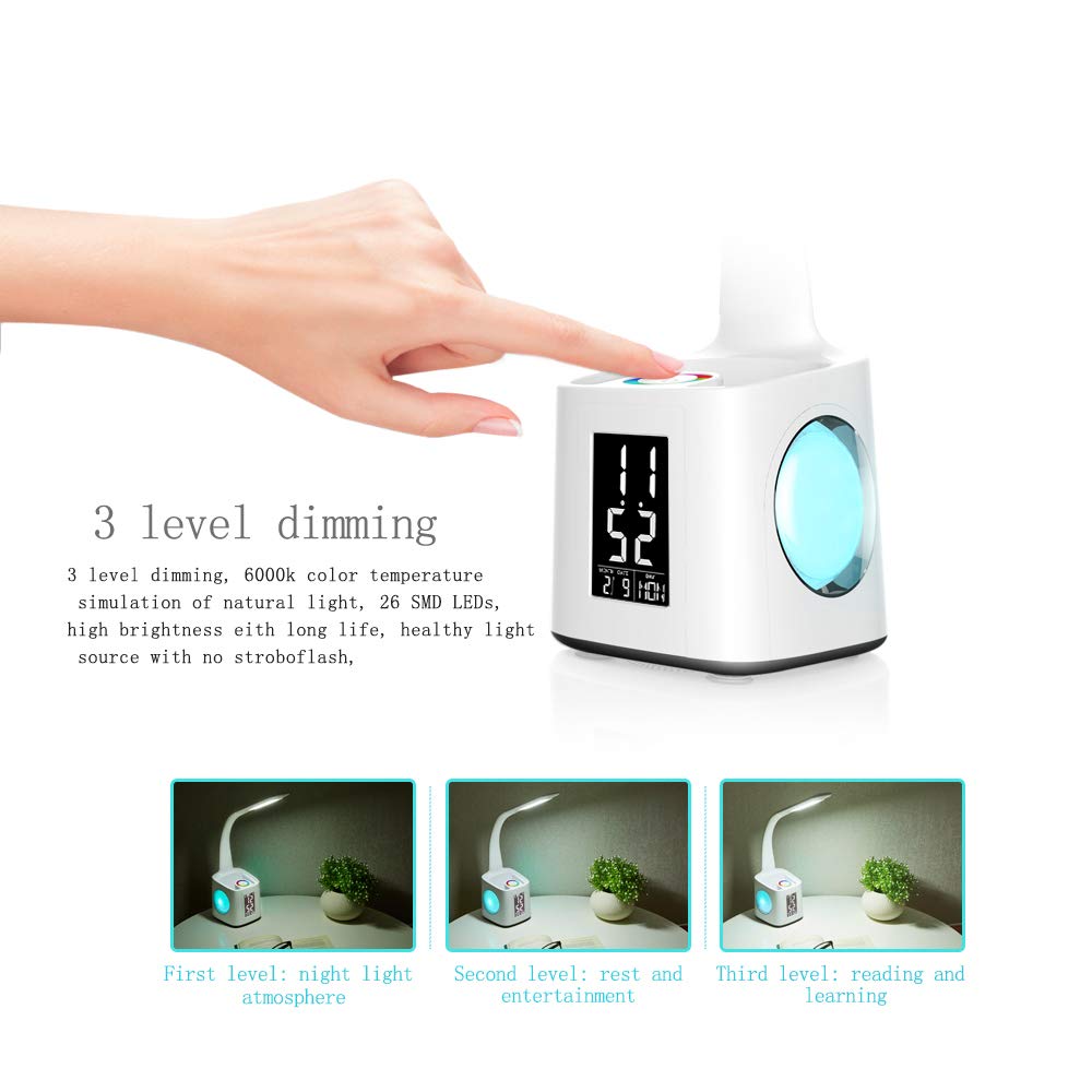 Multifunctional LED Desk Study Lamp with USB Charging