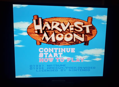 Harvest Moon SNES Video Game Cartridge Super Nintendo 1997