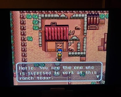 Harvest Moon SNES Video Game Cartridge Super Nintendo 1997