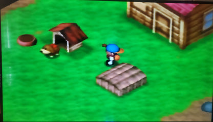 Harvest Moon 64 N64 Nintendo 64 Video Game Cartridge 1999
