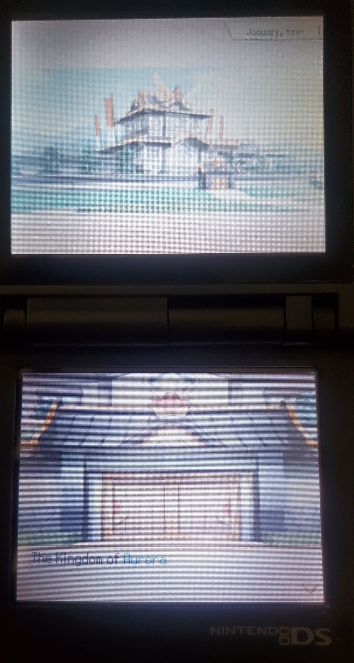 Pokemon Conquest NDS Video Game Nintendo DS 2012