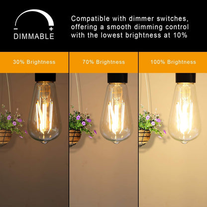 Dimmable Vintage LED Edison Bulbs, 60W, 2700K, E26, 6 Pack