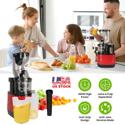 Cold Press Juicer Machine 300W Electric Slow Masticating Juicer for Whole Vegetable and Fruit with Reverse Function 2 Containers Cleaning Brush Clear