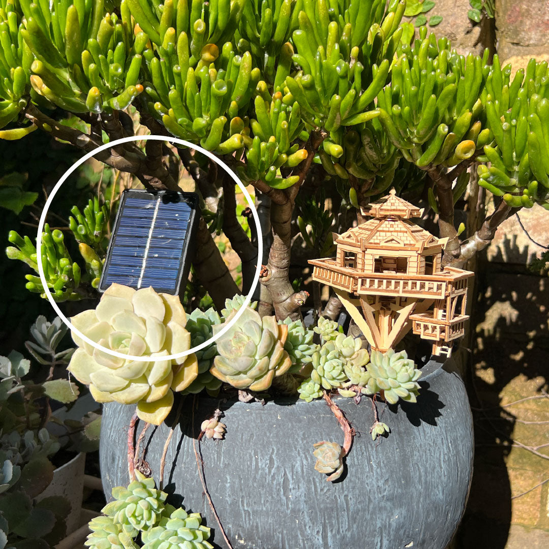 Solar LED Lights