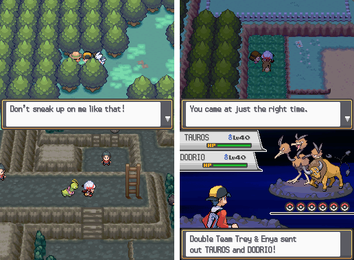 Pokemon Pure Heart NDS Nintendo DS Custom ROM Hack Video Game