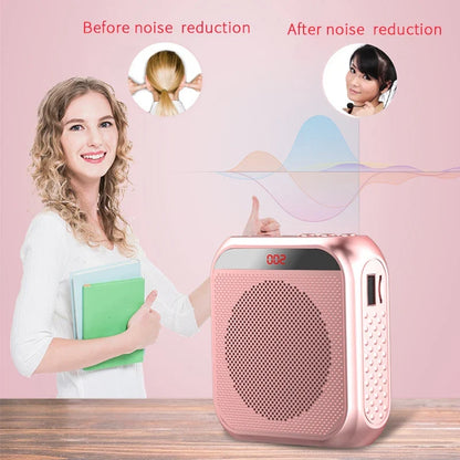Portable Microphone Amplifier Speaker – For Teachers & Classroom