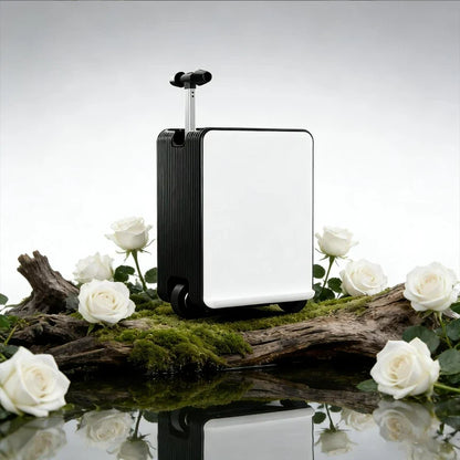 Carry-on Luggage Lightweight Rideable Electric Suitcase Multi-function Password Travel Business Trip Trolley