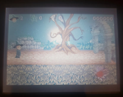Spirits and Spells GBA Video Game Boy Advance Nintendo