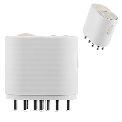 2 IN 1 Electric Scalp Massager And Hair Oil Applicator For Essential Oil Hair Growth Treatment Type-C Rechargeable IPX5 Waterproof Red Light Therapy V